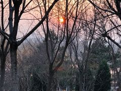 -燕郊植物园