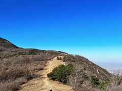 -大觉寺-停车场