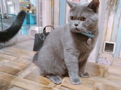 -小时光咖啡馆(开森度假森林店)