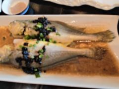 -湛江民大喜来登酒店-采悦轩中餐厅
