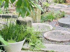-谷咖啡·鲜花绿植花园餐厅