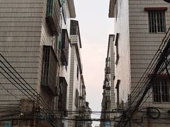 -华哥新鲜猪精品美食