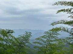 -莫干山风景区
