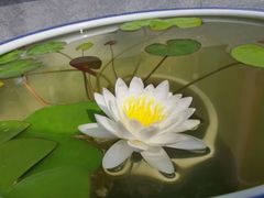 -西安市广仁寺