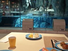 -帝企鹅自助餐厅•儿童岛•真企鹅(长隆企鹅酒店)