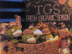 -TGS蒂歌斯(鼎峰中央店)