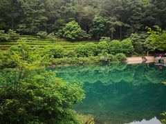 -九龙潭景区