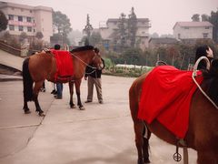 -大京袁记烤全羊农家(大京水库店)