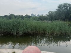 -太阳宫公园