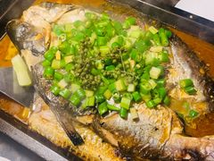 碧绿青椒芒果鱼-夯鱼烤鱼·尔滨地标美食(保健路店)