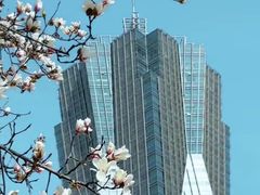 -西湖文化广场