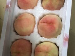 -老袁家蜜桃农场·阳山水蜜桃