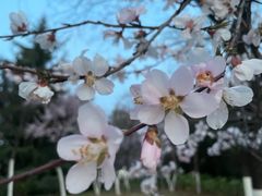 -城市运动公园(未央区)