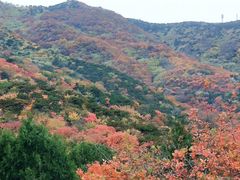 -北京西山国家森林公园