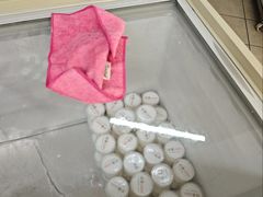 -洪馨椰子