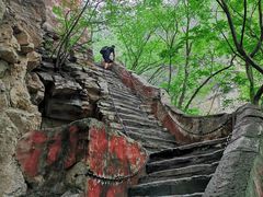 -北京上方山国家森林公园