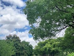 -上海滨江森林公园