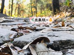 -阳台山自然风景区