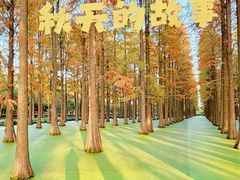 -渌洋湖湿地公园