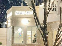 -Blue Concept Cafe&Farm·關於藍