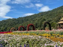 -广州市石门国家森林公园