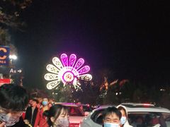 -七彩云南欢乐世界