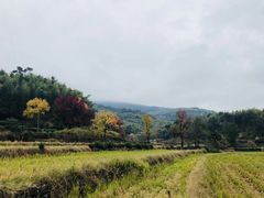 -塔川景区