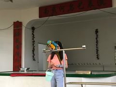 -南戴河国际娱乐中心