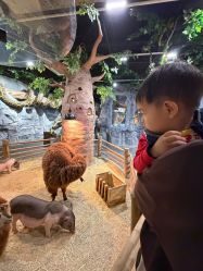 -Zoolung Zoolung动物主题公园(海信广场店)