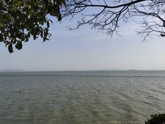 -贡湖湾湿地公园