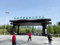 -黄海国家森林公园