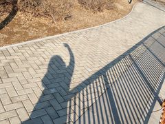 -象湖生态湿地公园