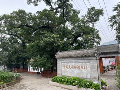 -康陵正德春饼宴26号