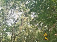 -龙井壹号·茶缘山景宴(龙井村店)