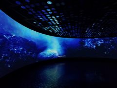 -同济大学四平路校区深海探索馆