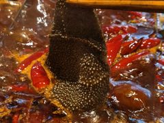 -胖碗火锅(观音桥店)