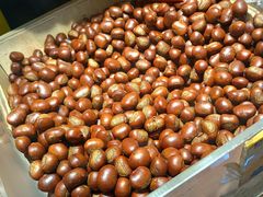 -粒上皇(五岭店)