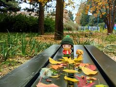 -国家植物园南园