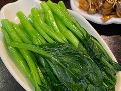 白灼菜心-添运来(茶园奥园广场店)