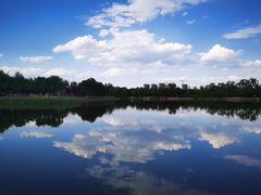 -永定河休闲森林公园