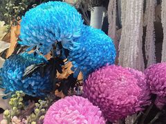 -谷莠子花艺气球派对·绿植造景·花艺沙龙(东海缤纷天地店)