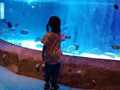 -沈阳海洋探索中心