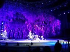 android_upload_pic-灵玲国际马戏城