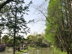-上海野生动物园