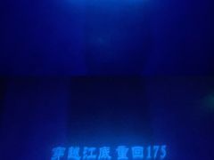 -白鹤梁水下博物馆