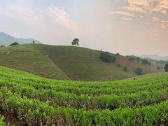 -帐篷客·溪龙茶谷度假酒店