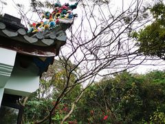 -深圳国际园林花卉博览园