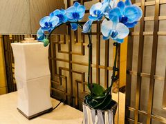 -杭州城中香格里拉大酒店