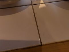 -费明中罗非鱼(大石坝店)