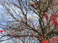 -终南山南五台景区